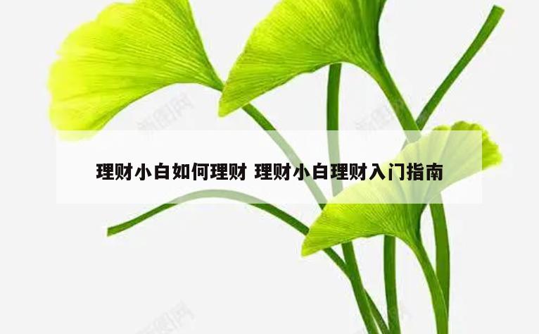 理财小白如何理财 理财小白理财入门指南