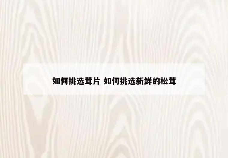 如何挑选茸片 如何挑选新鲜的松茸