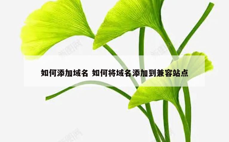 如何添加域名 如何将域名添加到兼容站点