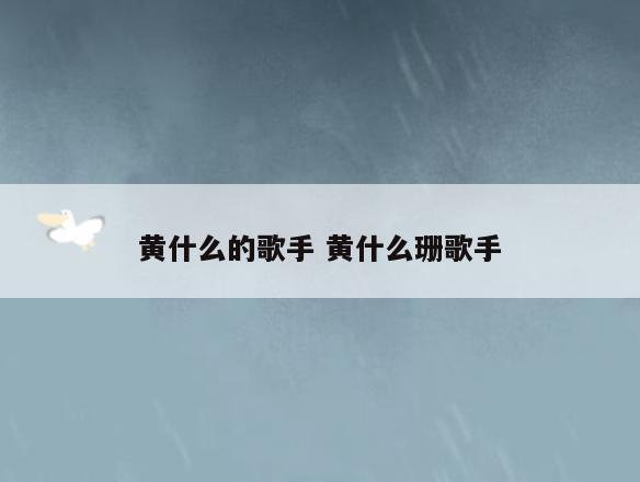 黄什么的歌手 黄什么珊歌手