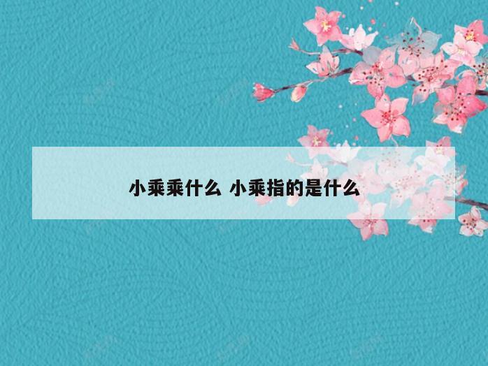 小乘乘什么 小乘指的是什么
