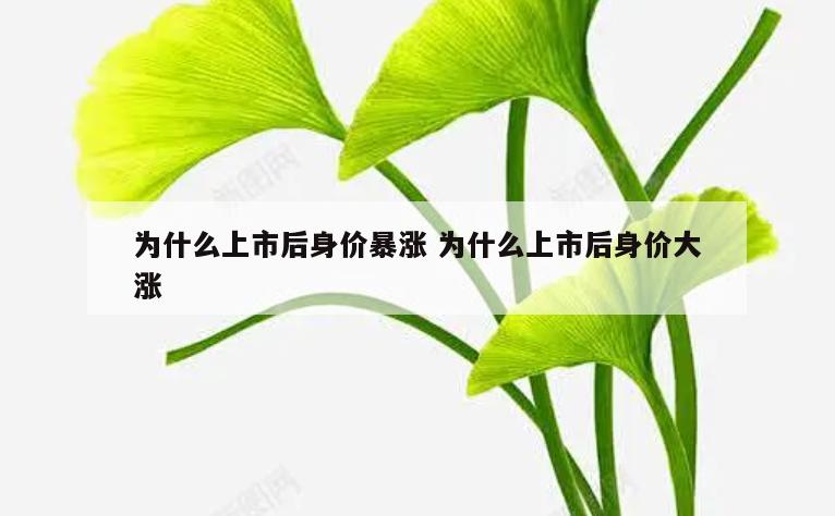 为什么上市后身价暴涨 为什么上市后身价大涨