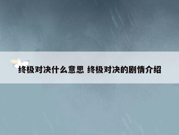 终极对决什么意思 终极对决的剧情介绍