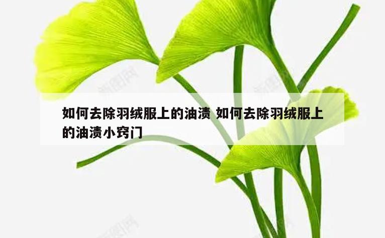 如何去除羽绒服上的油渍 如何去除羽绒服上的油渍小窍门