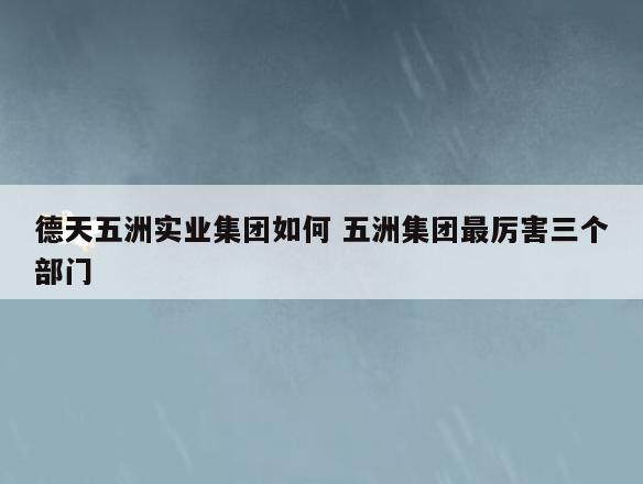 德天五洲实业集团如何 五洲集团最厉害三个部门