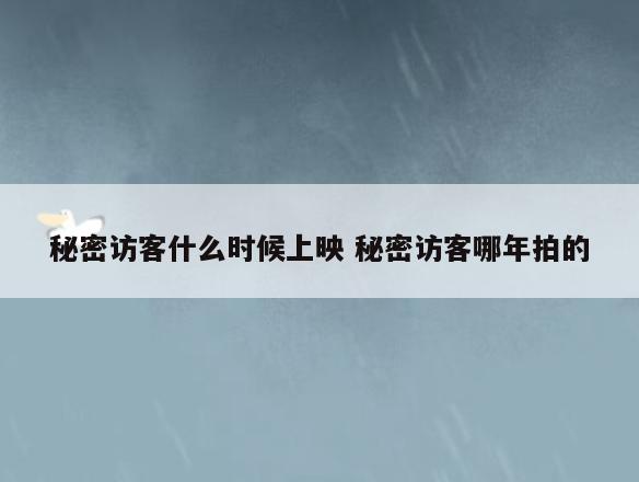秘密访客什么时候上映 秘密访客哪年拍的