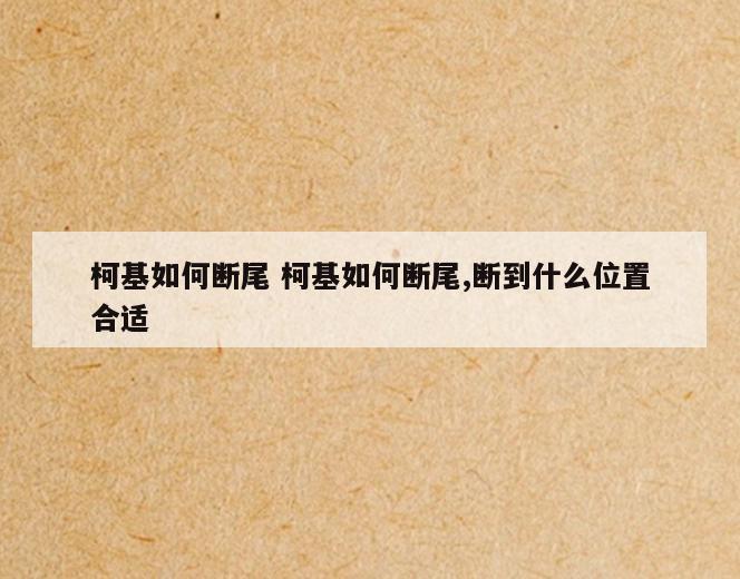 柯基如何断尾 柯基如何断尾,断到什么位置合适