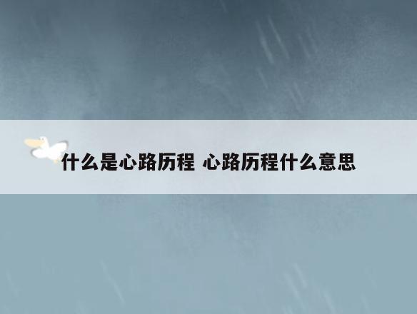 什么是心路历程 心路历程什么意思