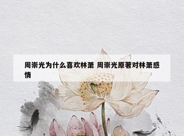 周崇光为什么喜欢林萧 周崇光原著对林萧感情
