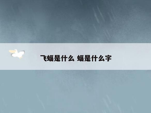 飞蝠是什么 蝠是什么字