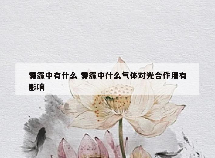 雾霾中有什么 雾霾中什么气体对光合作用有影响