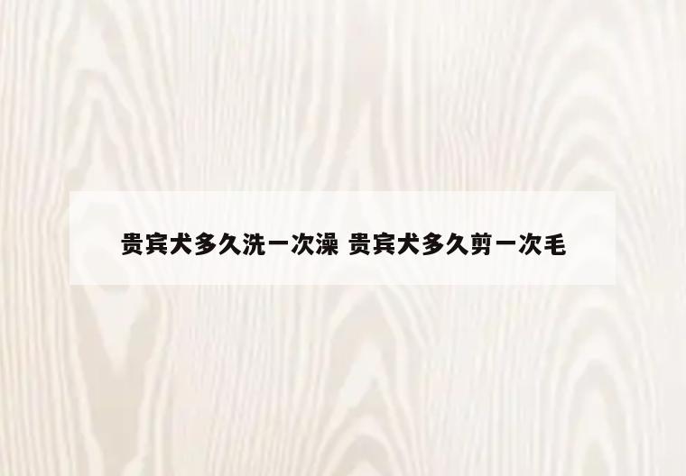 贵宾犬多久洗一次澡 贵宾犬多久剪一次毛