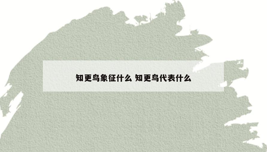 知更鸟象征什么 知更鸟代表什么