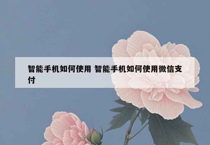 智能手机如何使用 智能手机如何使用微信支付