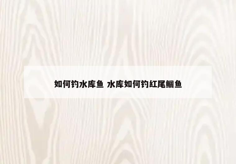 如何钓水库鱼 水库如何钓红尾鲴鱼