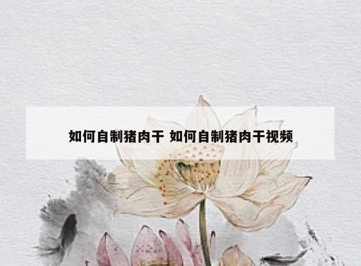 如何自制猪肉干 如何自制猪肉干视频