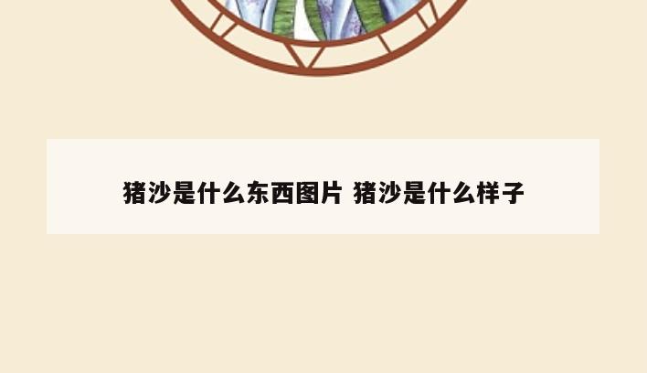 猪沙是什么东西图片 猪沙是什么样子