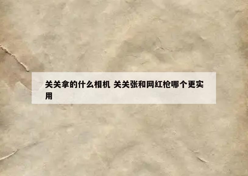 关关拿的什么相机 关关张和网红枪哪个更实用