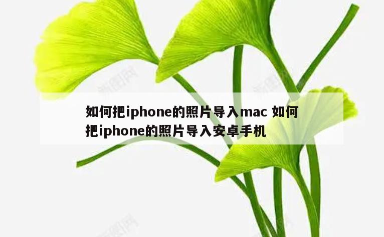 如何把iphone的照片导入mac 如何把iphone的照片导入安卓手机