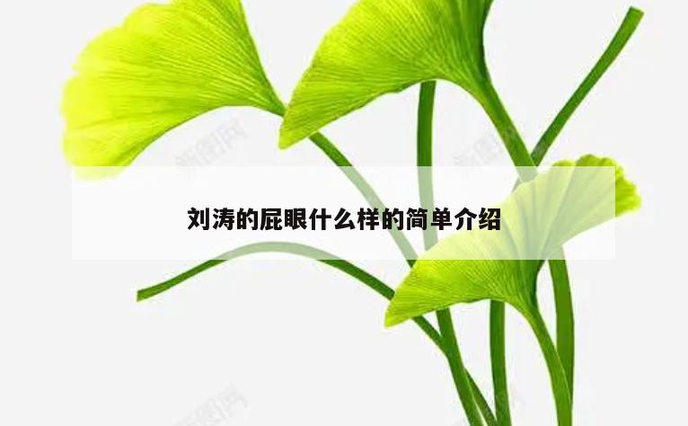 刘涛的屁眼什么样的简单介绍