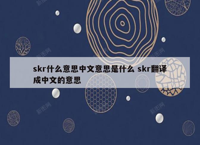 skr什么意思中文意思是什么 skr翻译成中文的意思