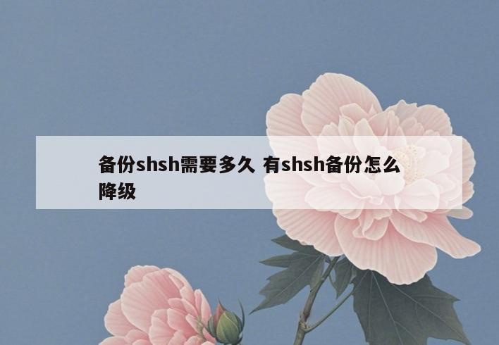 备份shsh需要多久 有shsh备份怎么降级