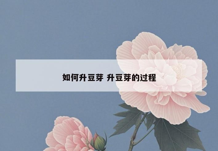 如何升豆芽 升豆芽的过程
