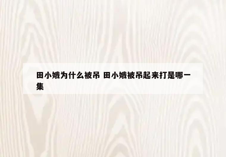 田小娥为什么被吊 田小娥被吊起来打是哪一集