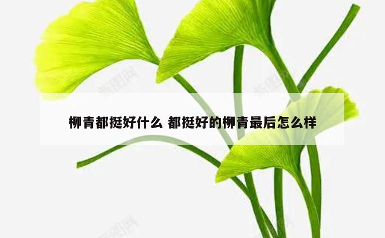 柳青都挺好什么 都挺好的柳青最后怎么样
