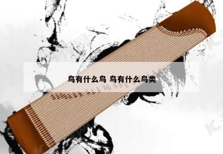 鸟有什么鸟 鸟有什么鸟类