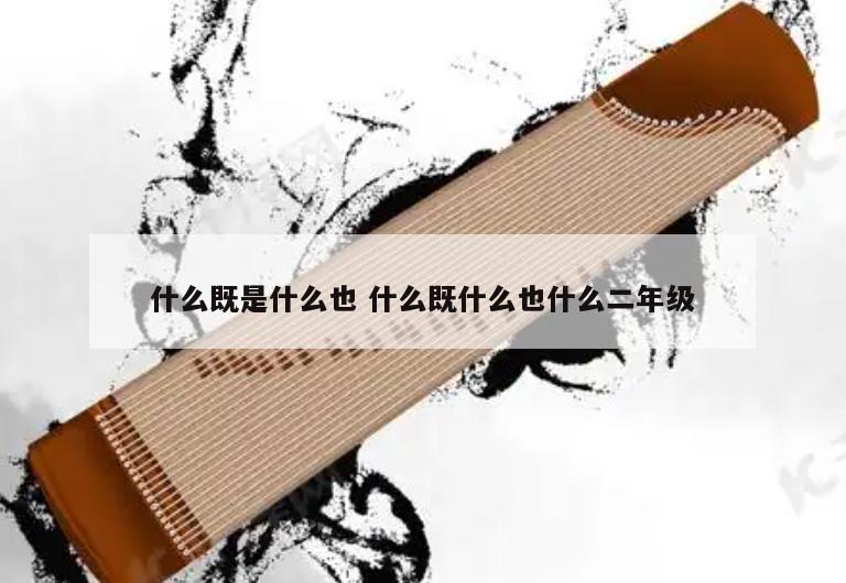 什么既是什么也 什么既什么也什么二年级