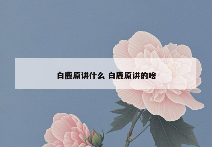白鹿原讲什么 白鹿原讲的啥