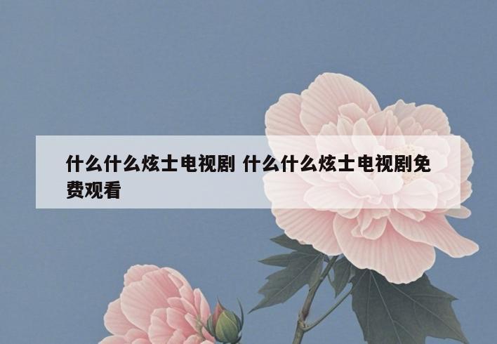 什么什么炫士电视剧 什么什么炫士电视剧免费观看