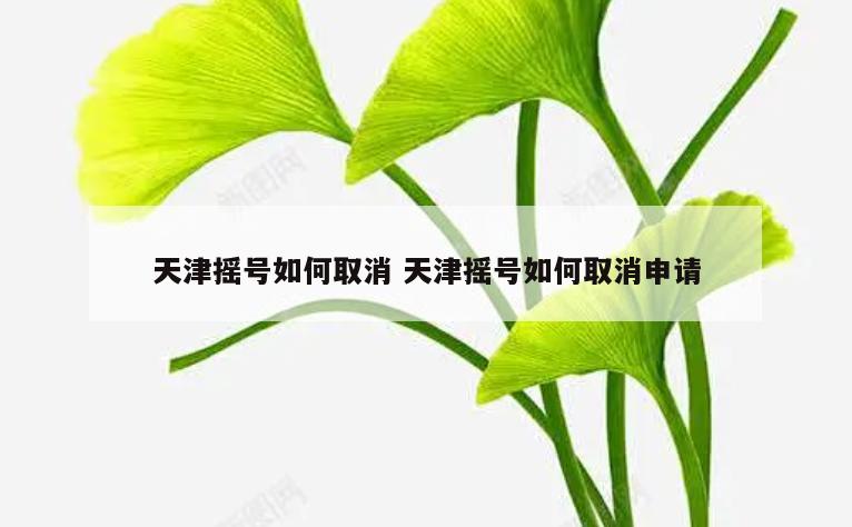 天津摇号如何取消 天津摇号如何取消申请