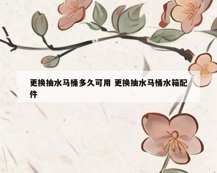 更换抽水马桶多久可用 更换抽水马桶水箱配件