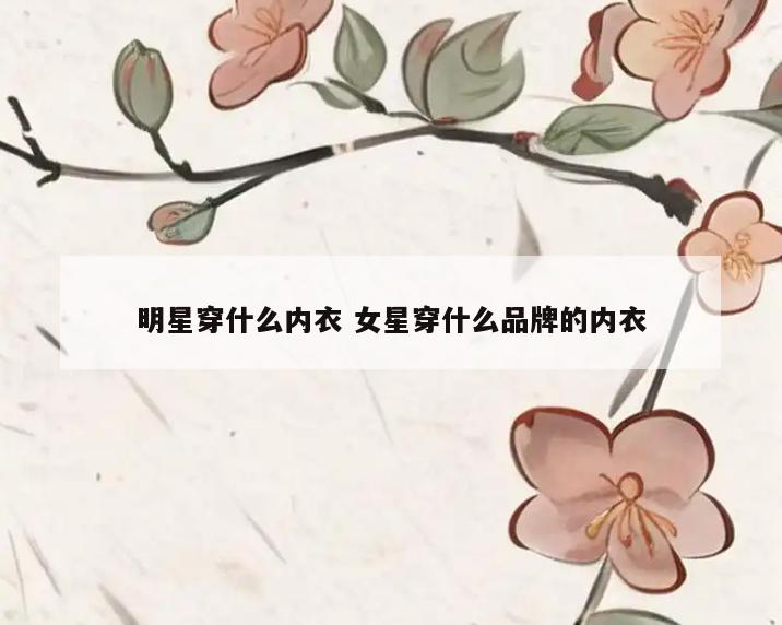 明星穿什么内衣 女星穿什么品牌的内衣