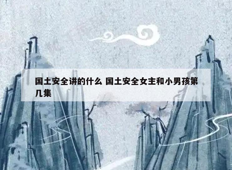 国土安全讲的什么 国土安全女主和小男孩第几集