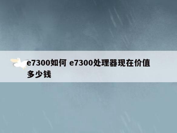 e7300如何 e7300处理器现在价值多少钱