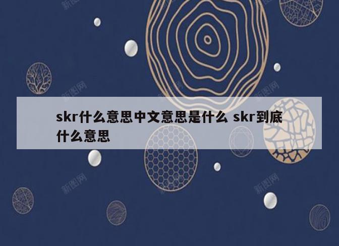 skr什么意思中文意思是什么 skr到底什么意思