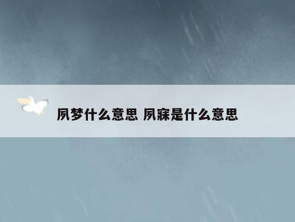 夙梦什么意思 夙寐是什么意思