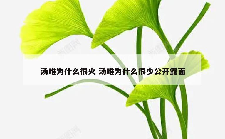 汤唯为什么很火 汤唯为什么很少公开露面