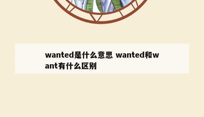 wanted是什么意思 wanted和want有什么区别