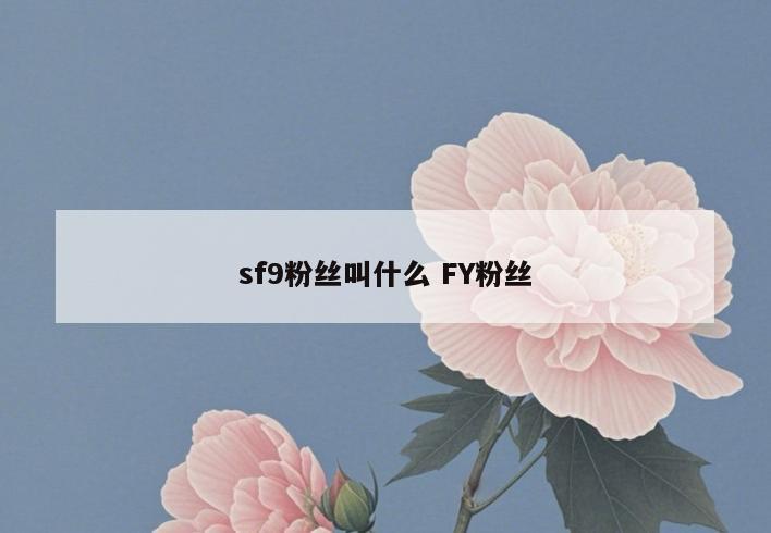 sf9粉丝叫什么 FY粉丝