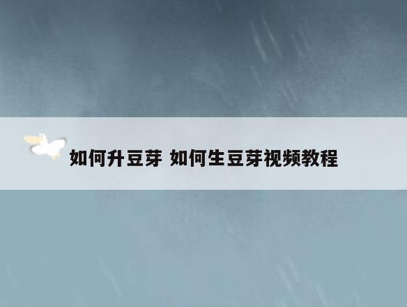 如何升豆芽 如何生豆芽视频教程