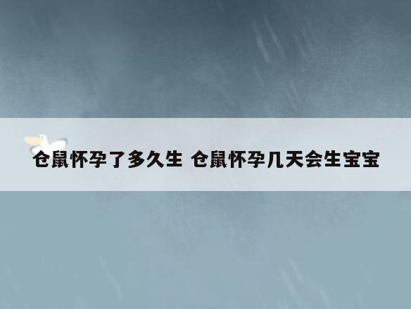仓鼠怀孕了多久生 仓鼠怀孕几天会生宝宝
