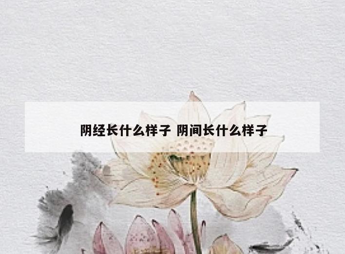 阴经长什么样子 阴间长什么样子