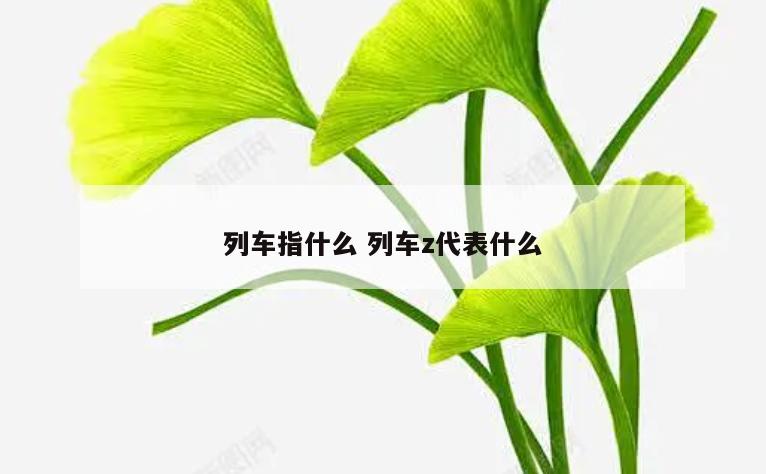 列车指什么 列车z代表什么
