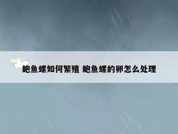 鲍鱼螺如何繁殖 鲍鱼螺的卵怎么处理