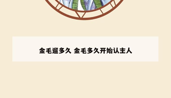 金毛遛多久 金毛多久开始认主人
