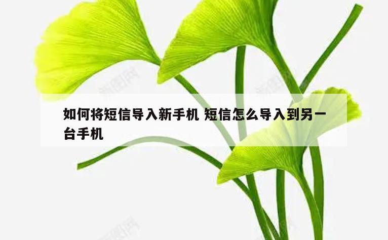 如何将短信导入新手机 短信怎么导入到另一台手机